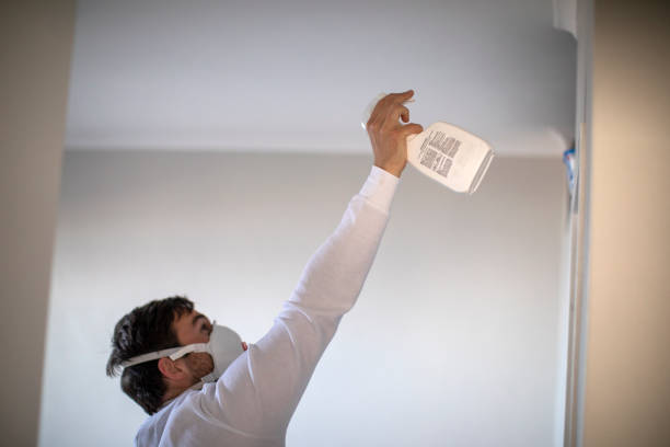 Best Localized Mold Remediation (e.g., coastal areas, humid climates) in Eagleton Village, TN